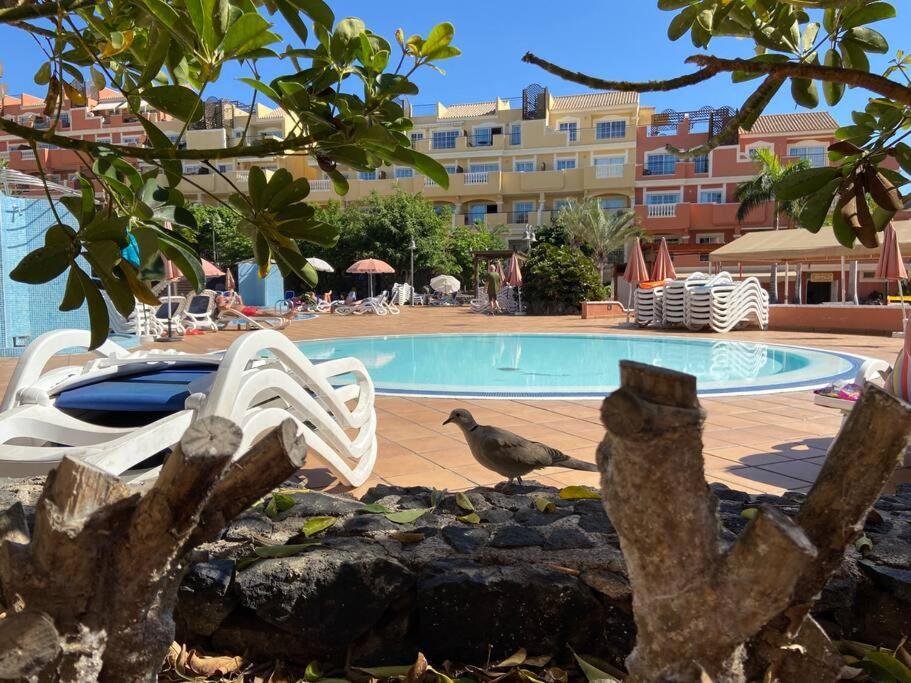 Amazing Penthouse Apartman Los Cristianos  Kültér fotó